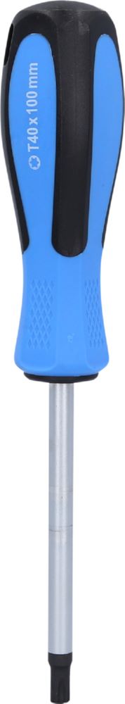 Produktbild Brilliant Tools Schraubendreher Torx T40 x 100 mm bild 3