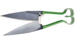 Produktbild Freund Victoria Schaf- oder Buchsbaumschere 1510