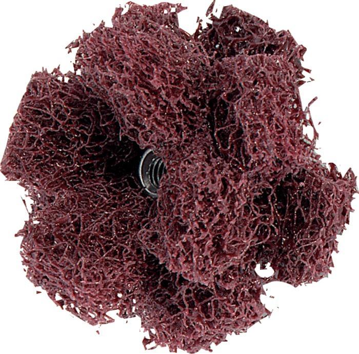 Produktbild Pferd Schleifsterne Polinox T 25-2 A 100