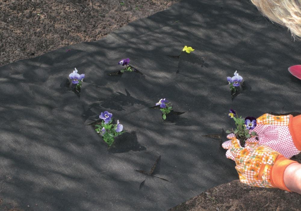 Produktbild CircumPro Unkraut und Mulchvlies 5x1,5m schwarz