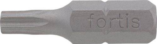 Produktbild Fortis Bit 1/4 Zoll DIN3126C6,3 Torx mit Bohrung T-BO20 x 25 mm Box mit 10 Stück bild 3