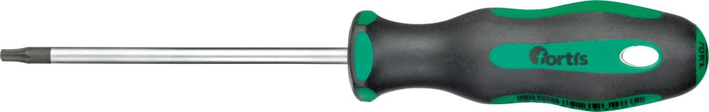 Produktbild Fortis  Schraubendreher für Innen Torx TX20x100 mm