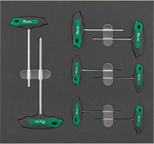 Produktbild Fortis  Werkzeugmodul 2/3 Quergriff Innensechskant 8 Teile