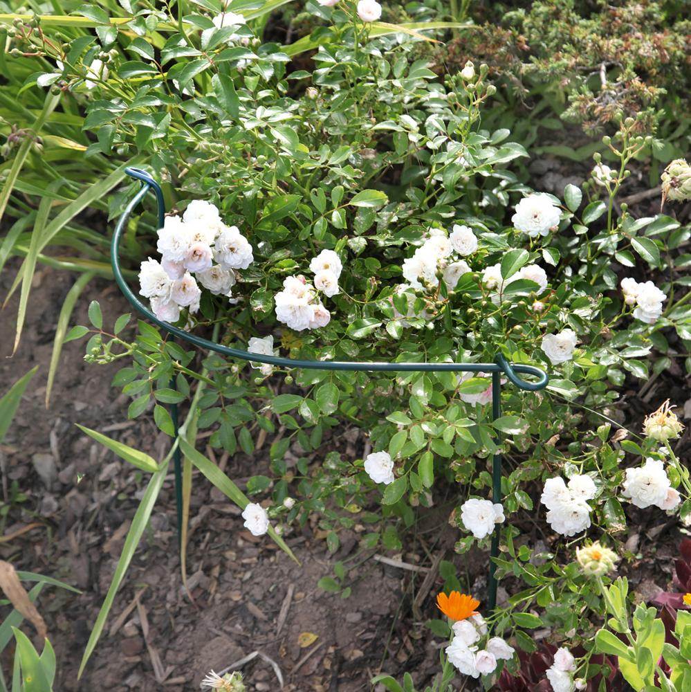 Produktbild Staudenstütze 100 cm grün bild 2