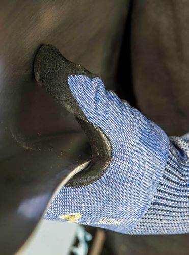 Produktbild W+R Schnittschutzhandschuh Mitar S Eco Grip Größe 7 blau schwarz bild 5