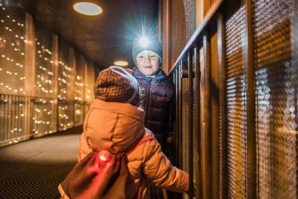 Produktbild Ledlenser KIDLED4R Wiederaufladbare Kinder-Stirnlampe grün- Beispiel bild 2