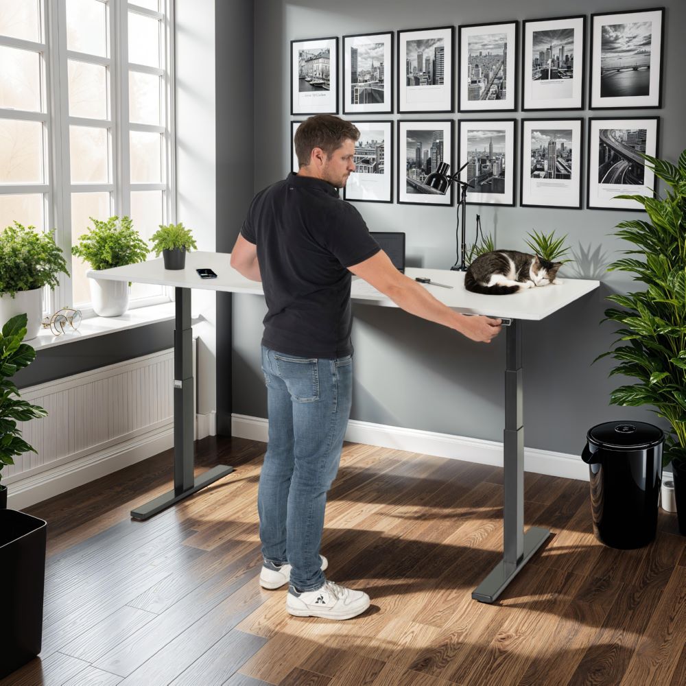 Produktbild Schreibtisch adlatus 100 1500 x 800 x 650-1300 mm M-Platte 22 mm RAL 9005 bild 5