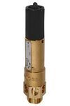 Produktbild RIEGLER Hochleistung Sicherheitsventil Messing G1 Ansprechdruck 5,5 bar bild 1