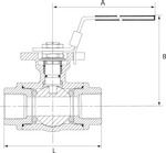 Produktbild RIEGLER Kugelhahn 3 Wege L Bohrung Edelstahl 1.4408 G1.1/4 DN32 bild 2