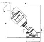 Produktbild RIEGLER Schrägsitzventil Bronze ohne Namur Schnittstelle G1.1/2 maximal 11 bar bild 2