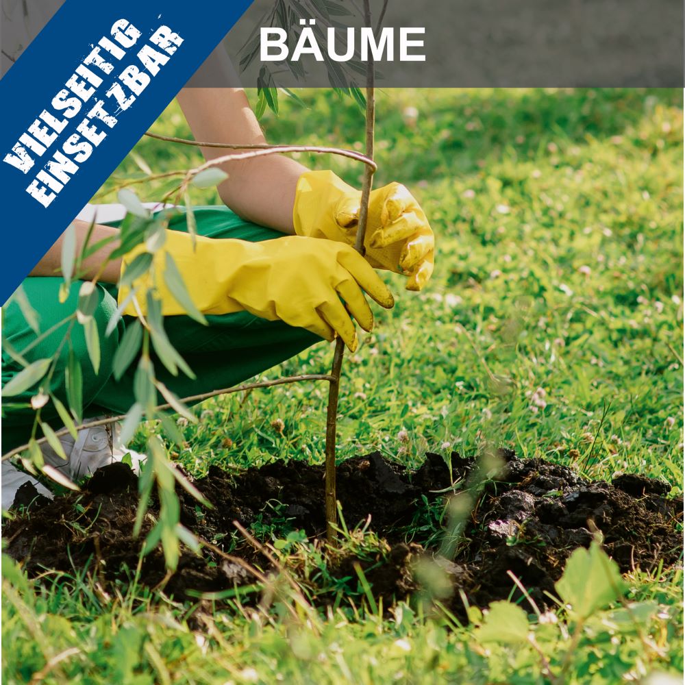 Produktbild Scheppach Erdbohrer inklusive Bohrer- Set EB2000 bild 5