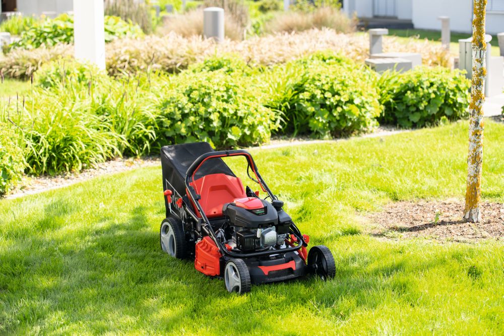 Produktbild Scheppach 6 in 1 Benzin-Rasenmäher mit Radantrieb MS173-51 4,5 PS bild 5