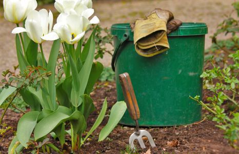 Produktbild garten garten handwerkzeug eimer behaelter teaser