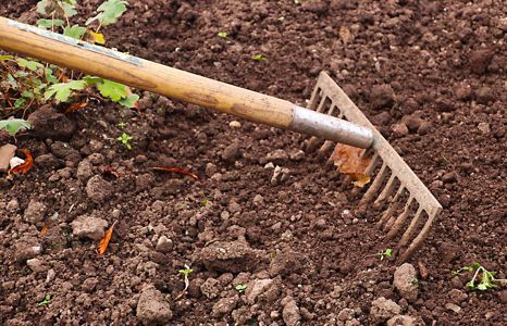 Produktbild garten garten handwerkzeug rechen gabeln teaser