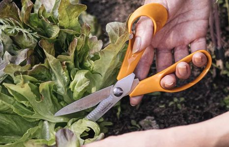 Produktbild garten garten handwerkzeug scheren teaser