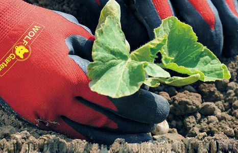 Produktbild garten garten arbeitskleidung teaser