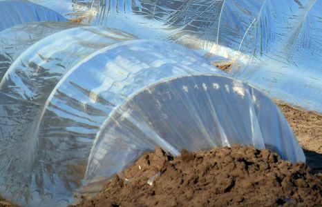 Produktbild garten garten verbrauchsmaterial teaser