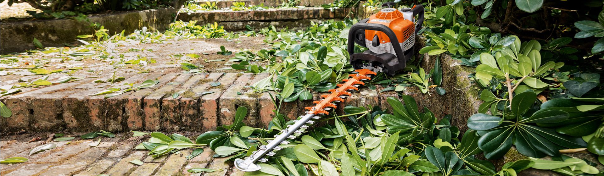 Stihl Heckenschere in Aktion bild