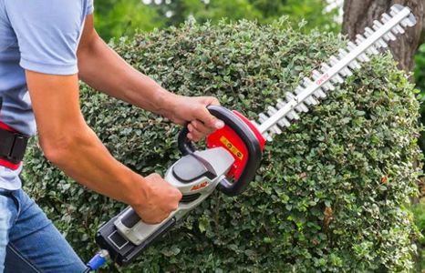 Produktbild Heckenscheren für Privatanwender & Profis