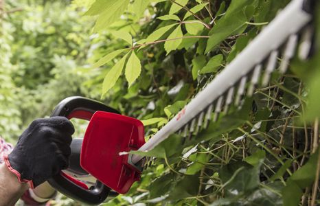 Produktbild garten gartenmaschinen teaser