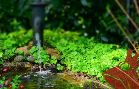 Produktbild garten teichzubehoer teaser
