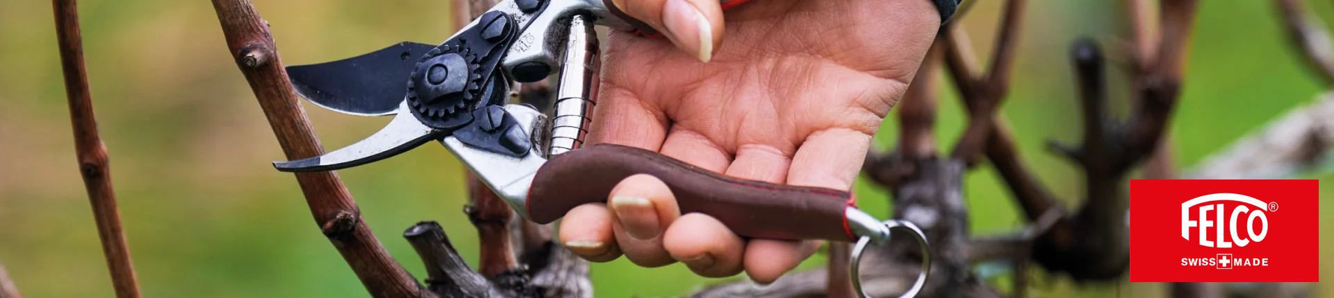 Bild Felco Baumschere im Einsatz beim Schneiden eines dünnen Astes