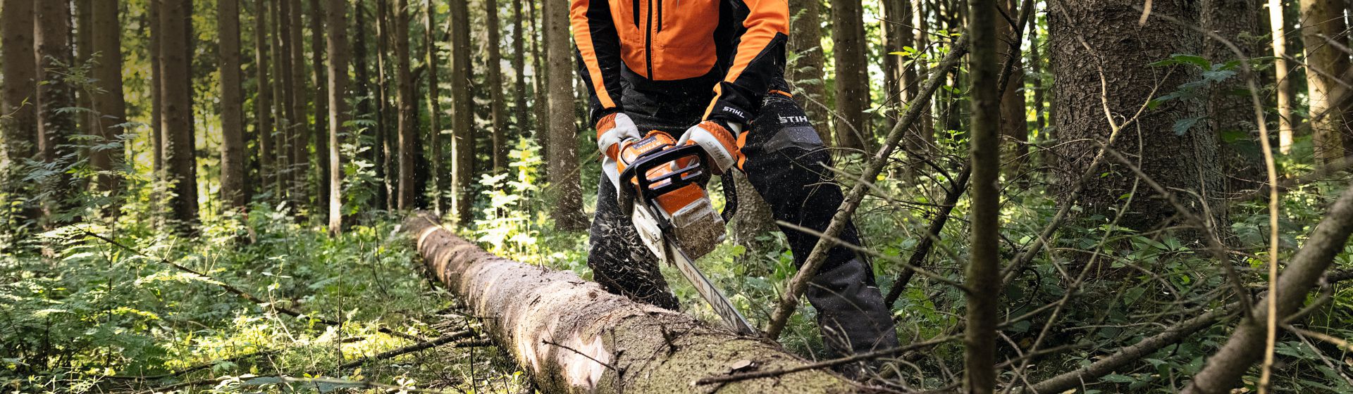 Waldarbeiter in Stihl Arbeitskleidung beim Sägen eines gefällten Baumstamms mit einer Motorsäge bild