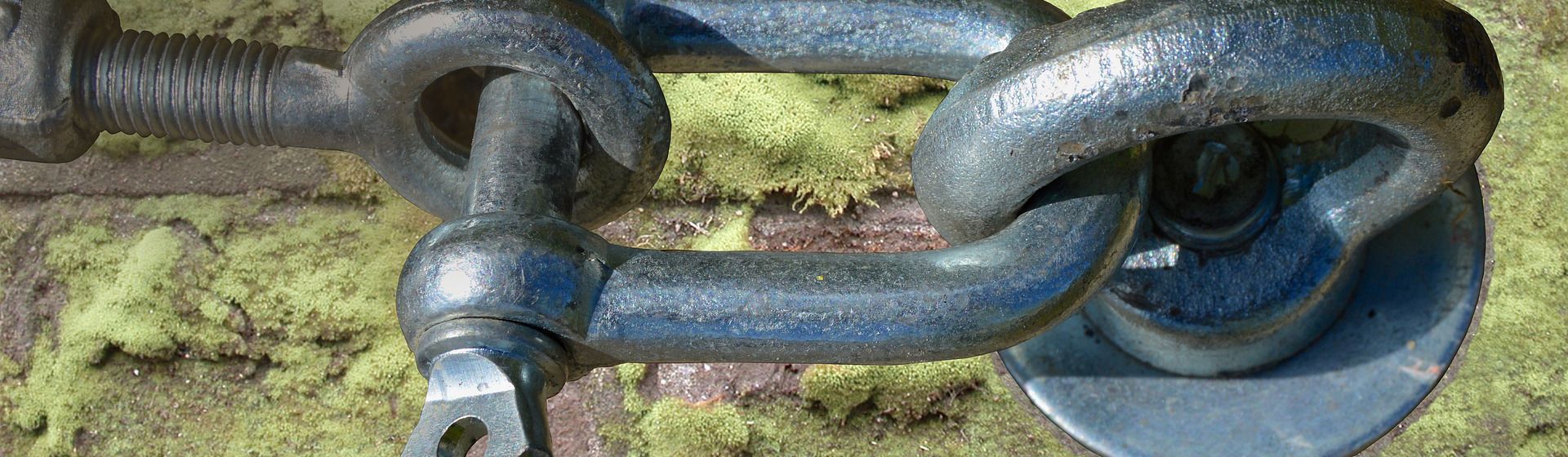 Schäkel im Einsatz bild