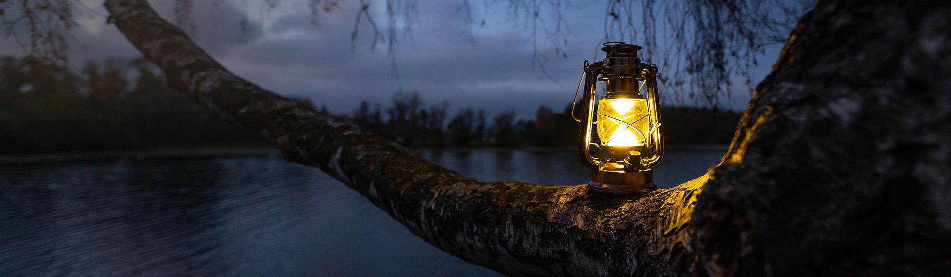 Laterne im Dunkeln auf einem Baumstamm stehend mit Blick auf einen See bild