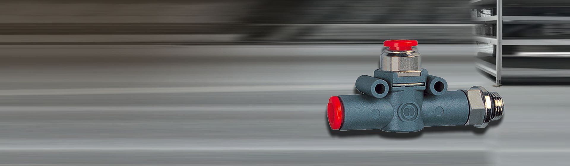 Riegeler Schnellentlüftungsventil gef. Entl. M5 (Ausg.) - Schl.4 (Eing.) bild