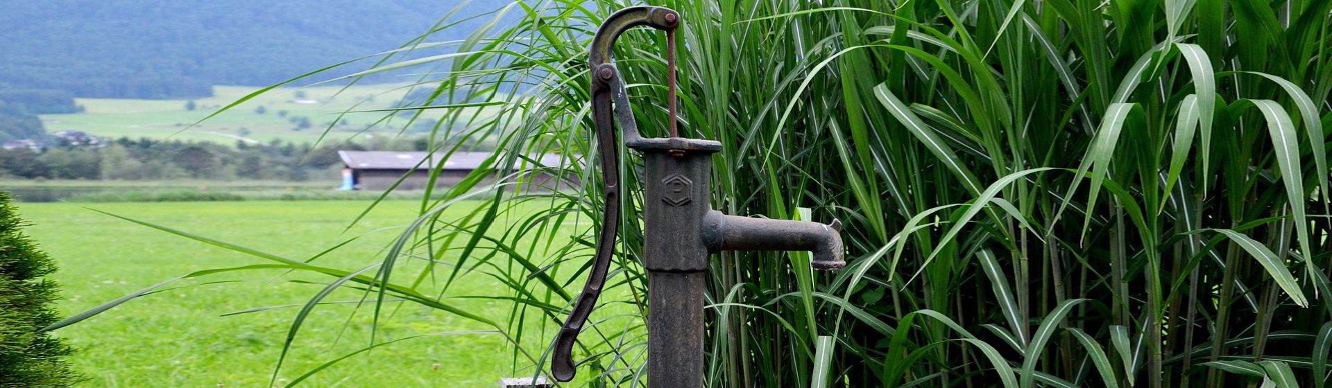 Schwengelpumpe in einem Garten bild