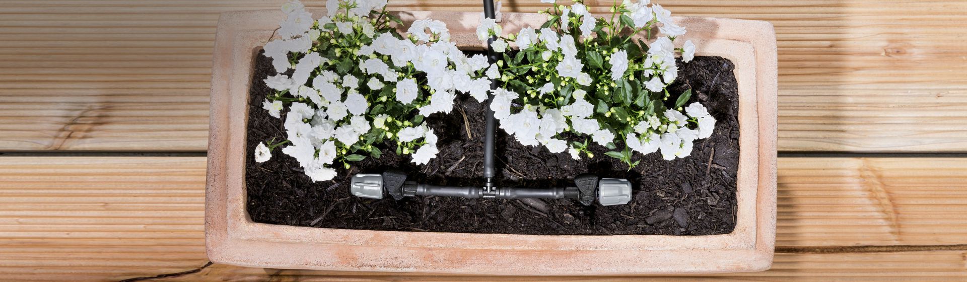 Kärcher Bewässerungssystem in einem Blumenkasten bild