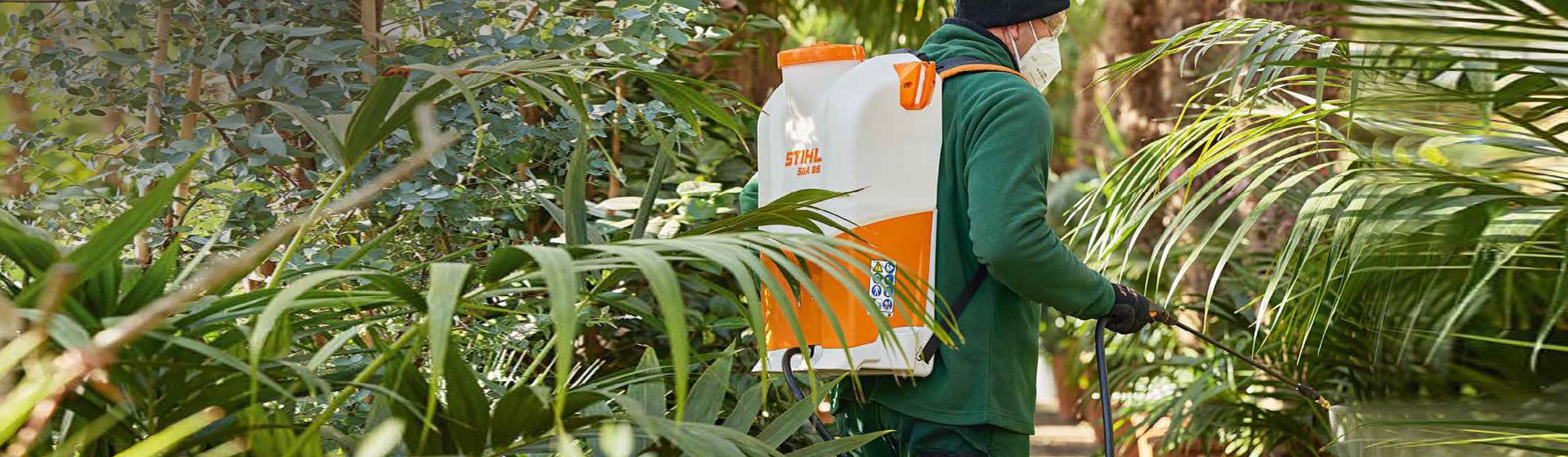 Mann besprüht Pflanzen in einem Gewächshaus mit einem Stihl Drucksprühgerät bild