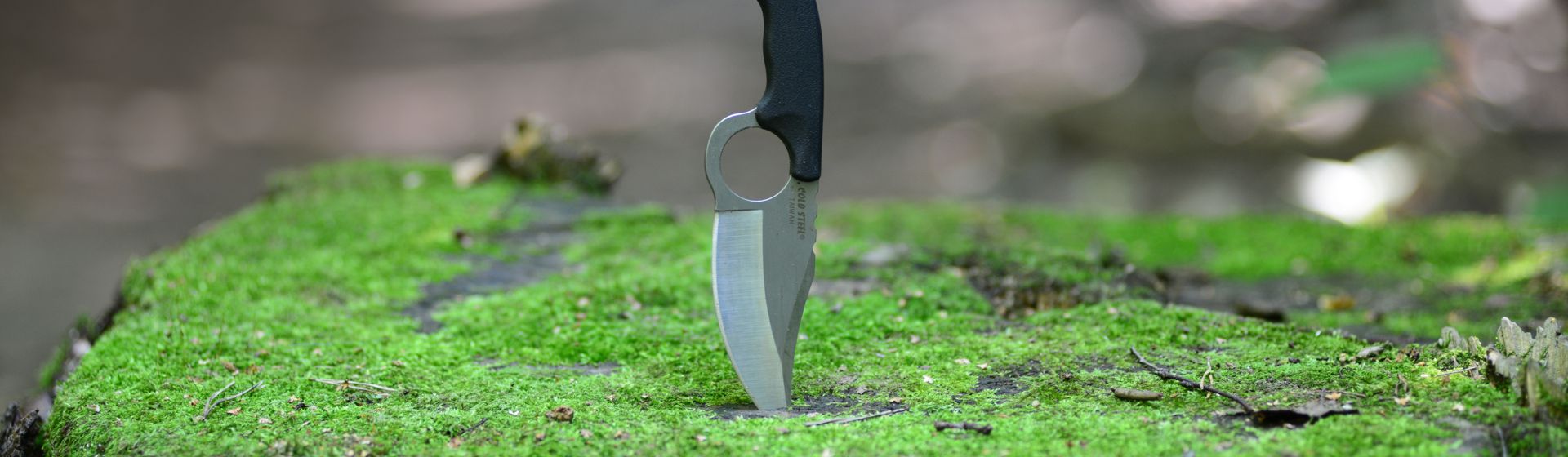 Messer mit schwarzem Griff und silberner Klinge in einem mit Moos besetzten Baumstamm steckend bild