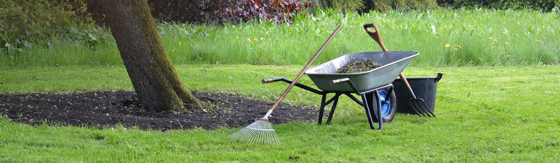 Silberfarbene Schubkarre auf einer Wiese unter einem Baum stehend bild