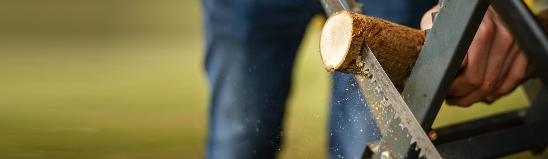 In einem Sägebock liegender Baumstamm wird gesägt bild