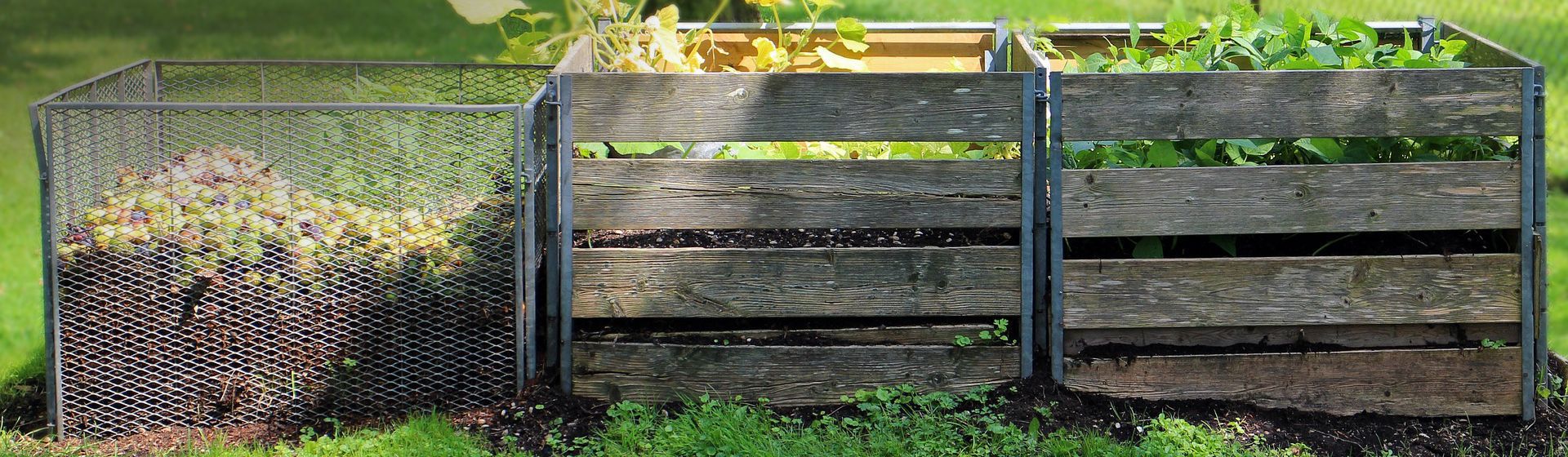 Komposter auf einer Rasenfläche bild