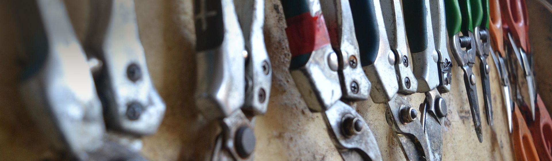 Diverse Scheren an einer Leiste an einer Wand hängend bild