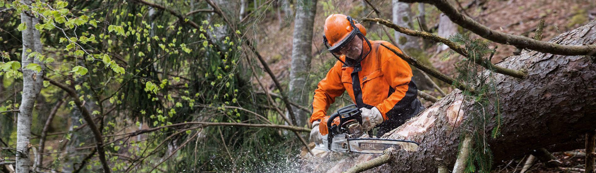 Stihl Benzin Kettensäge in Aktion bild