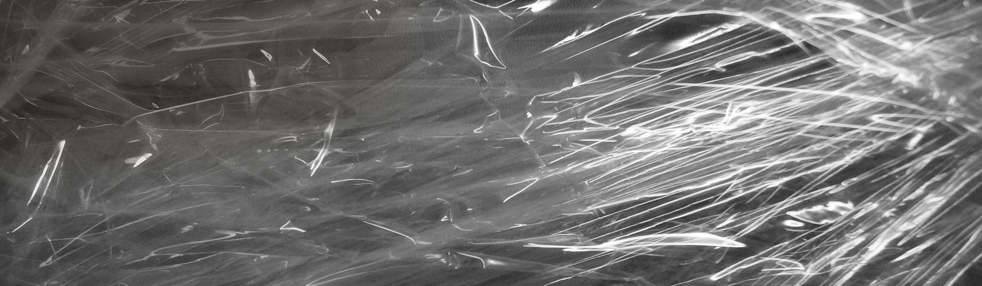 Folie in Nahaufnahme bild