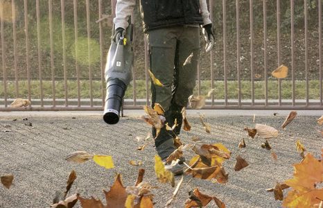 Produktbild reinigungsgeraete sauger laubsauger teaser