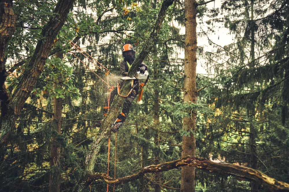 Produktbild Akku Kettensäge MSA 220 TC-O PS3 Pro Schienenlänge 30 cm bild 5