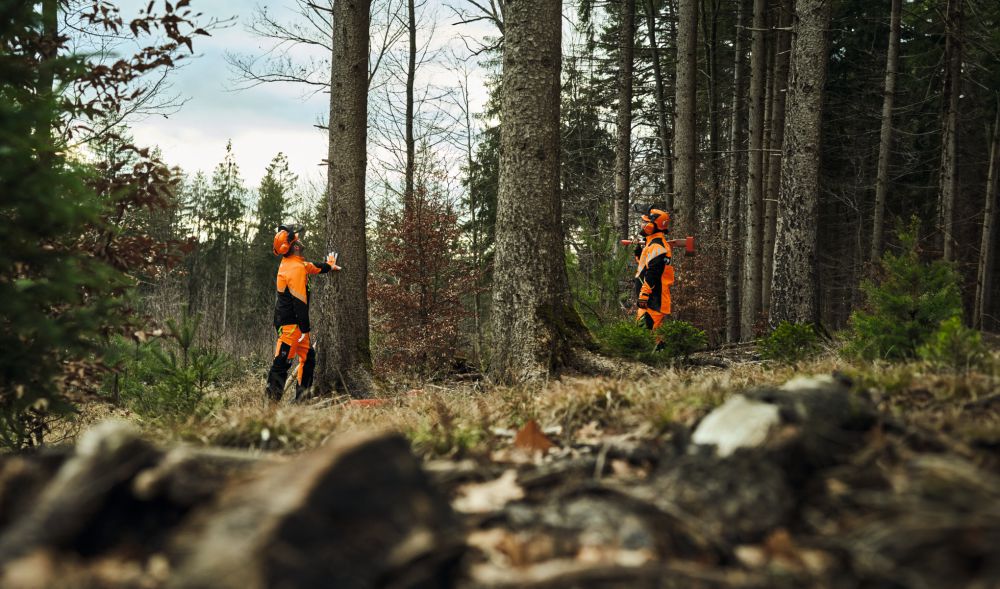 Produktbild STIHL Bundhose Dynamic Durotec Größe XXL Design A Class 2 bild 4