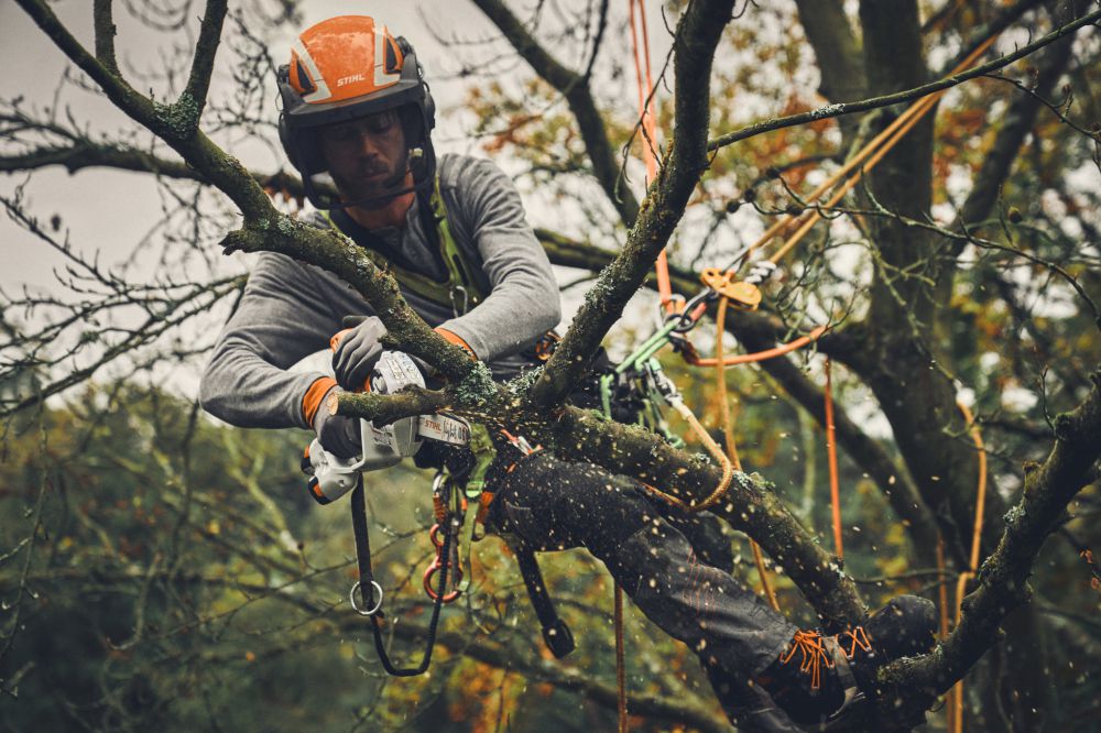 Produktbild STIHL Akku Gehölzschneider GTA 40 Set mit 2 x AS 2 und AL 5-2 und Koffer bild 3