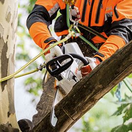 Produktbild Stihl Akku Kettensäge 25cm MSA 161 T ohne Akku Ladegerät bild 3