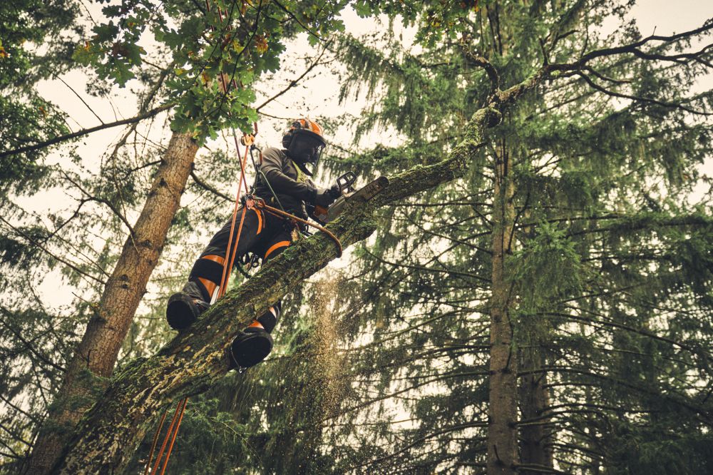 Produktbild STIHL Akku Kettensäge MSA 220 T 3/8 Zoll PS3 Pro Schienenlänge 30 cm bild 6