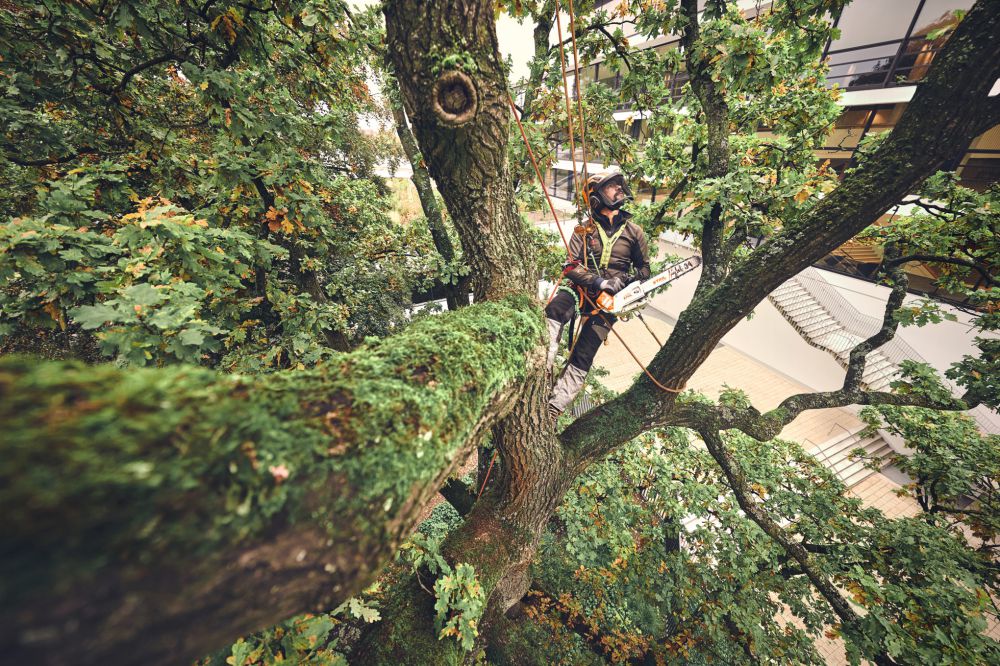 Produktbild STIHL Akku Kettensäge MSA 220 T 3/8 Zoll PS3 Pro Schienenlänge 35 cm bild 4