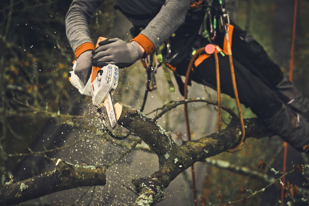 Produktbild STIHL Führungsschiene Light 01 für GTA 40 15 cm bild 5