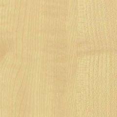 Produktbild Hammerbacher Schreibtisch elektrisch Höhenverstellbar 1600x800mm,Buche bild 2