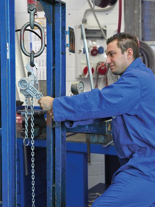 Produktbild Planeta Hebelzug PAH Aluminium 0,50t bild 2